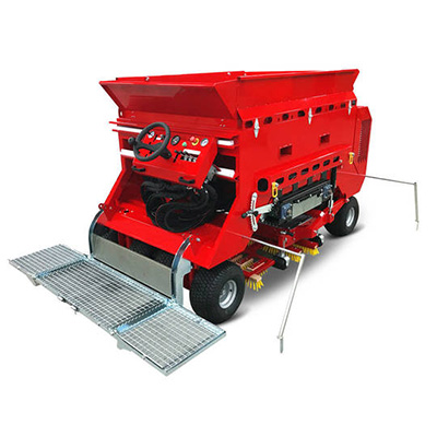 Cat-B2005